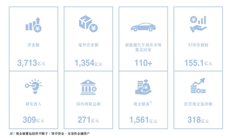 图片来源：比亚迪财报