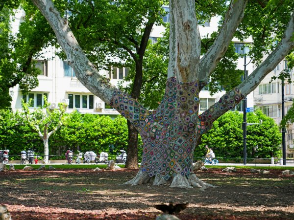 炒股配资网站详解 徜徉“花海”(6)